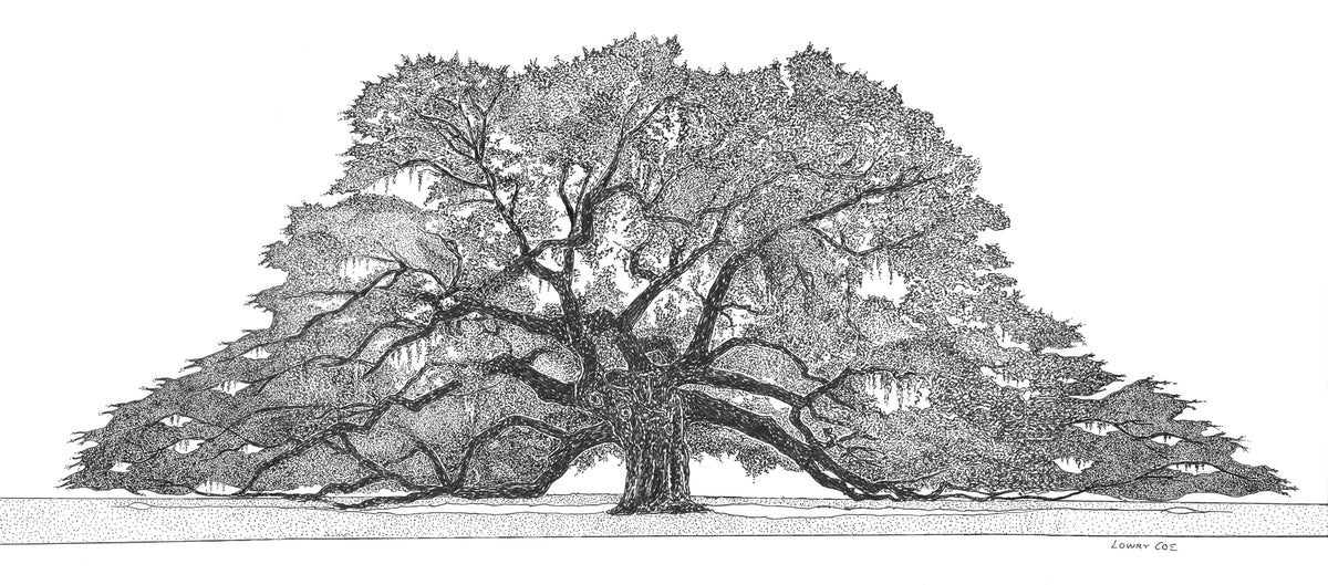 Angel Oak Print - wide view