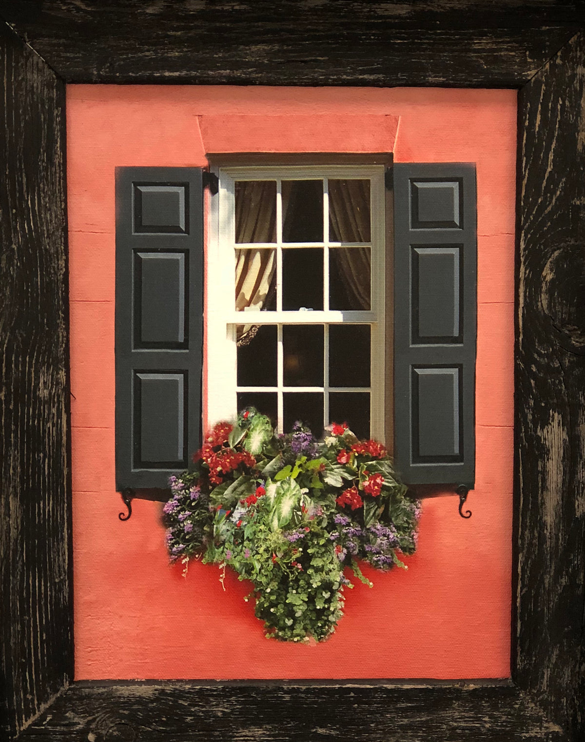 Charleston Windowboxes  Pink Wall with Black Shutters