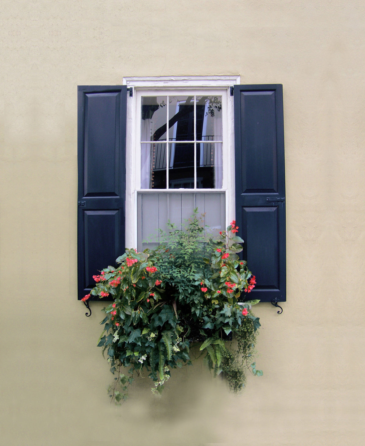 Charleston Windowboxes  Smooth stucco wall
