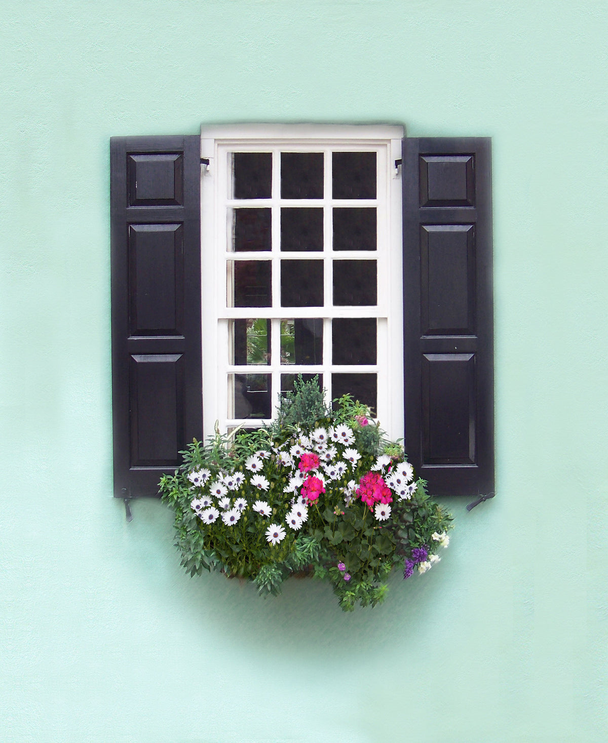 Charleston Window Box - Seaglass green wall w/ white &amp; pink flowers