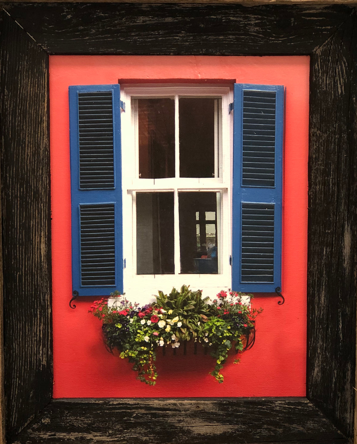 Charleston Windowboxes:  Pink Wall with Blue Shutters