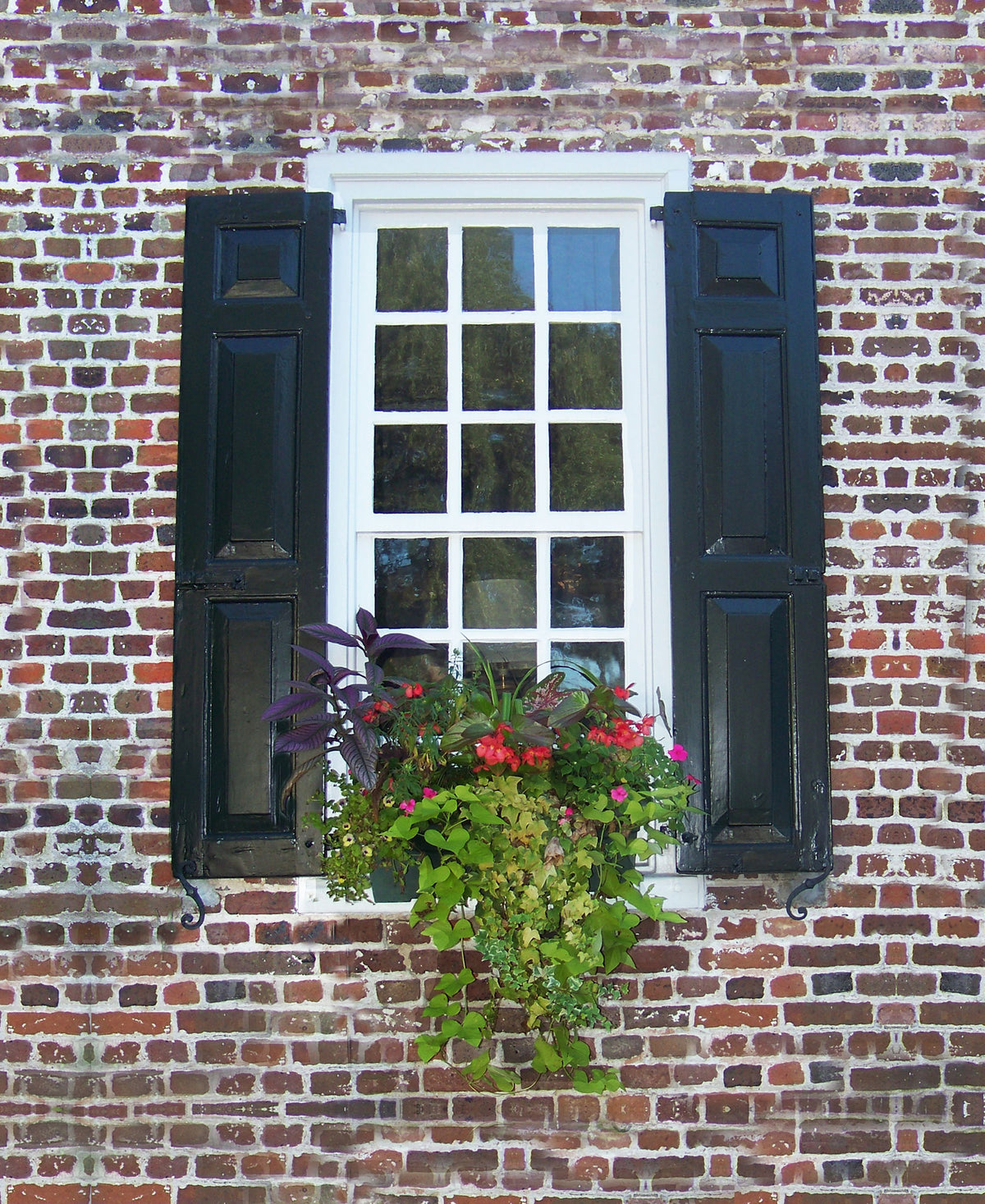 Charleston Windowboxes  Brick with red flowers