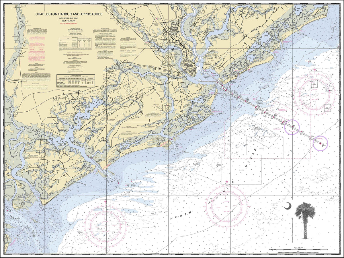 Charleston Harbor Nautical Chart with Palmetto and Crescent Moon
